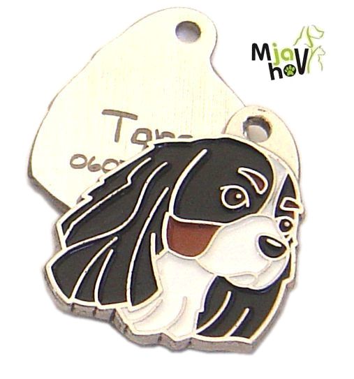 id-tegn-indgraverede-cavalier-king-charles-trefarvet.jpg Personlige hundetegn MjavHov - indgraverede hundetegn online